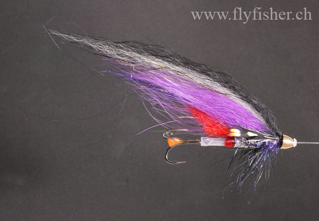 Violet and silver Tubefly